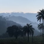 img 7044