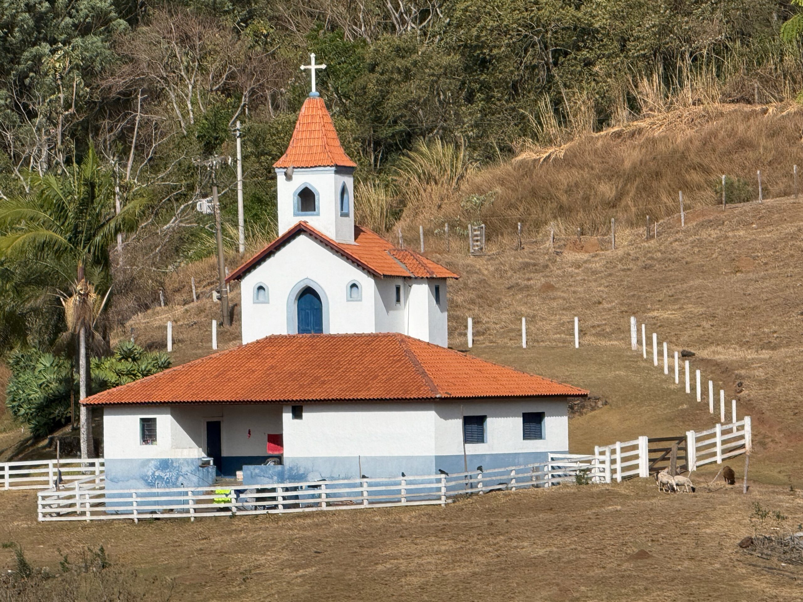 Boi Morto • até Portal da Divisa • Espaço Ybyrá, AGP