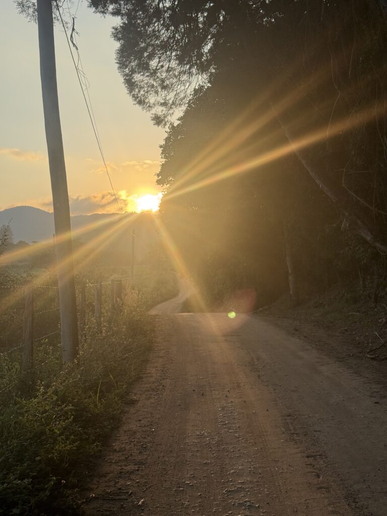 foto2