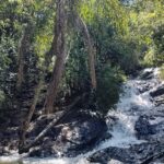 web coqueiro 24