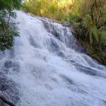 web coqueiro cach28