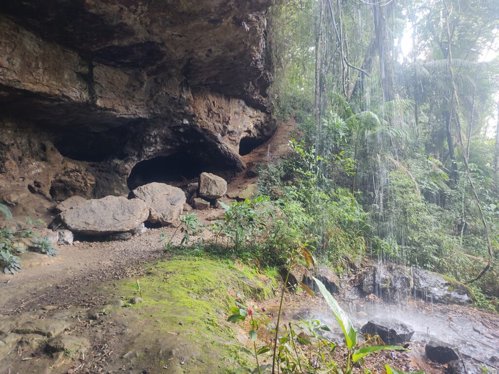 web gruta 25