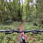 web trilha bike 20