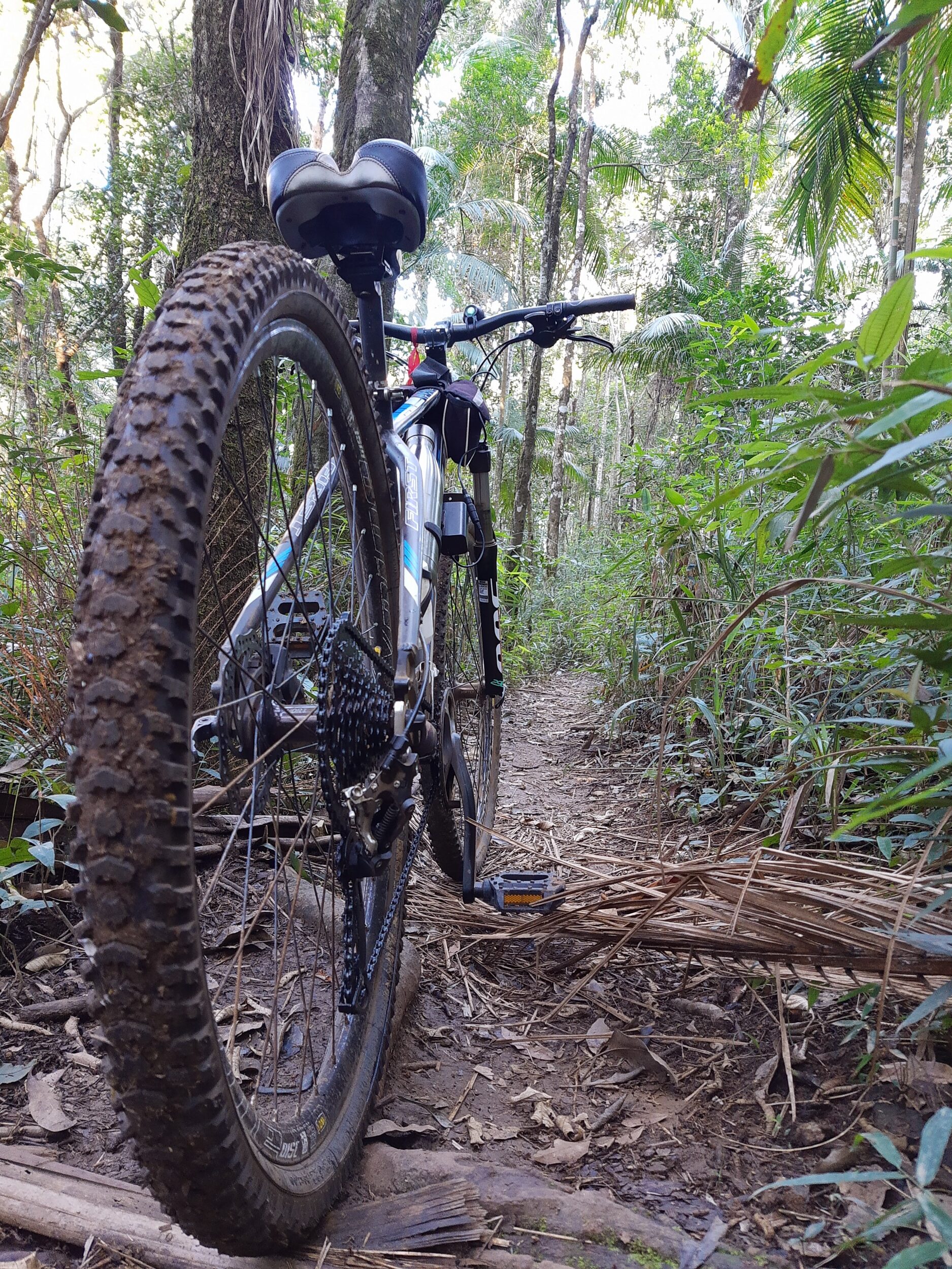 web trilha bike18