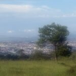 web foto2