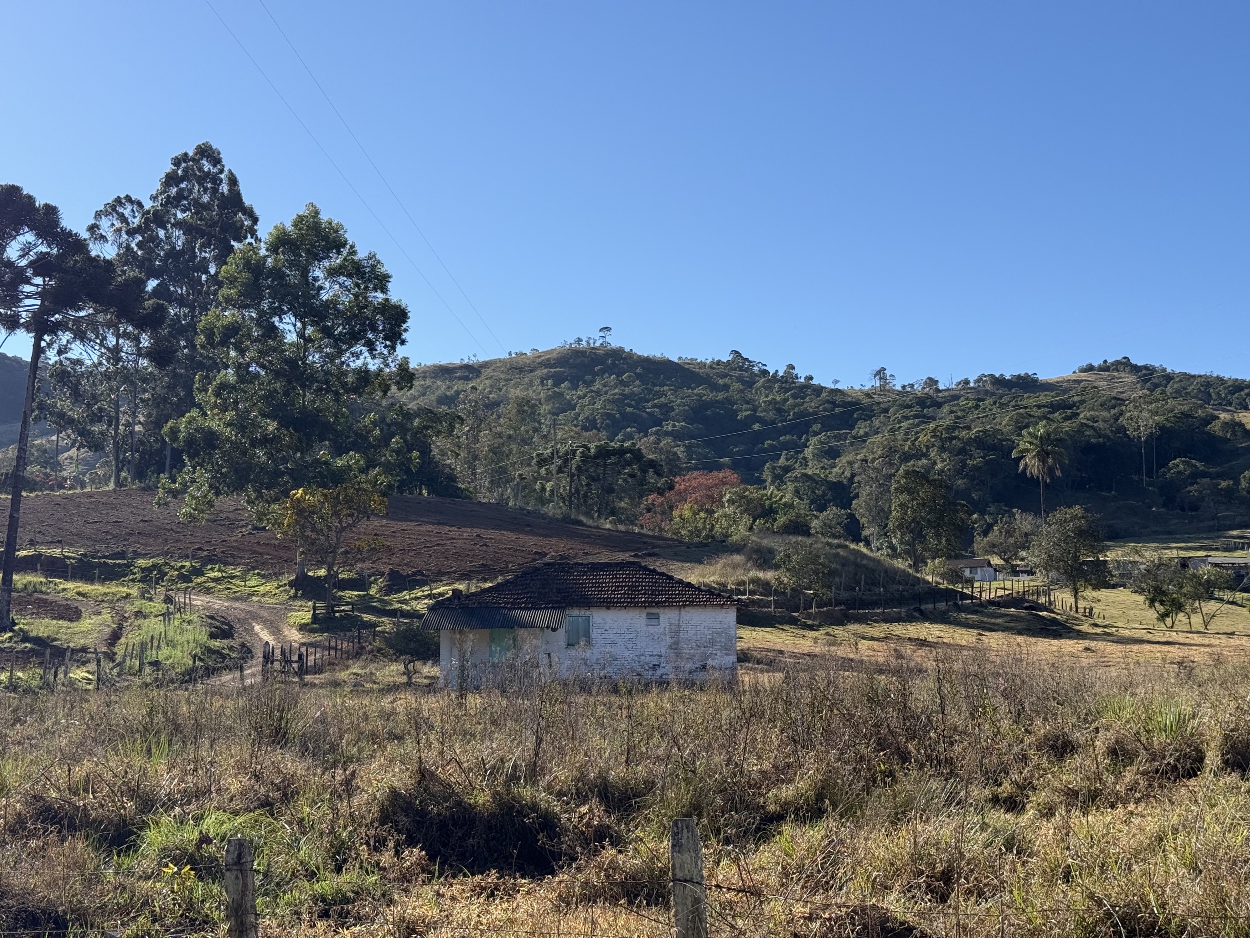 web img 8311