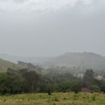 web img 9546