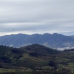 web img 9672